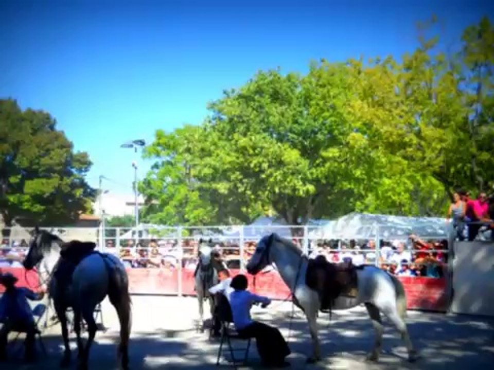 TOURBES - 2014 - Journées Taurines 2014