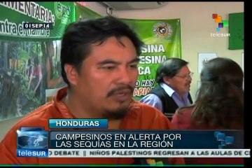 Campesinos centroamericanos en alerta por severa sequía en la región