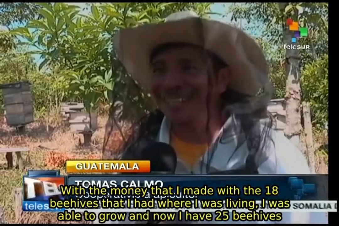 "Monsanto Law" endangers beekeeping: Guatemalan beekeepers