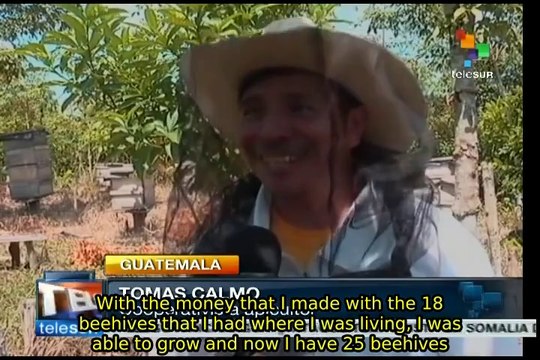 Monsanto Law endangers beekeeping: Guatemalan beekeepers