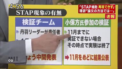 14 08 27 EX SJC　STAP細胞　中間報告