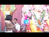 Poonam Pandey & bollywood celebs @Andheri Cha raja for ganesh pooja