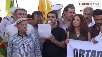 HDP'li Binici: Kürtlerin Beyninde Sınır Kalmadı