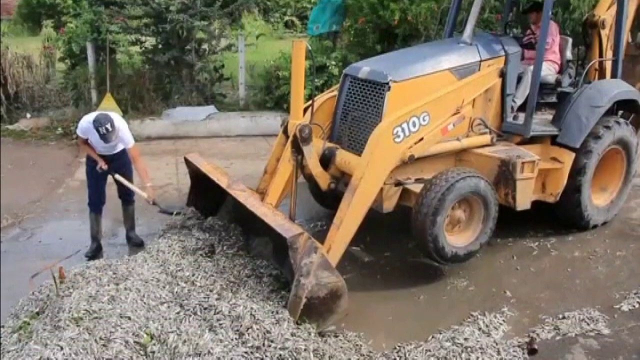 50 tonnes of dead fish fill Mexico lagoon