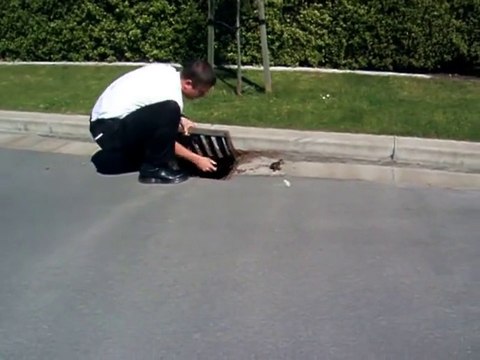 Mormon Missionaries Free Baby Ducklings From Storm Drain