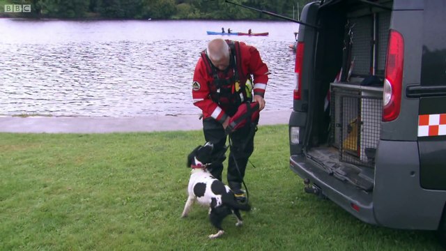 L'odorat du chien : ultra puissant! A travers l'eau et la boue il peut retrouver une odeur!