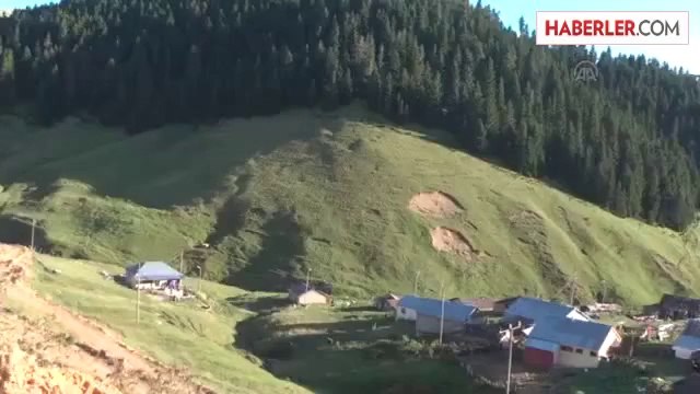 Aşklarını yaylanın çimenine kazıdılar