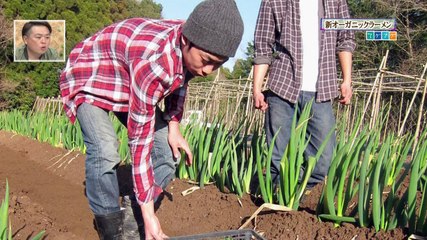 140901 AKB 柏木由紀 @ てゲてゲ 1-2