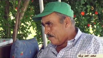 وجها لوجه  محمد بركه