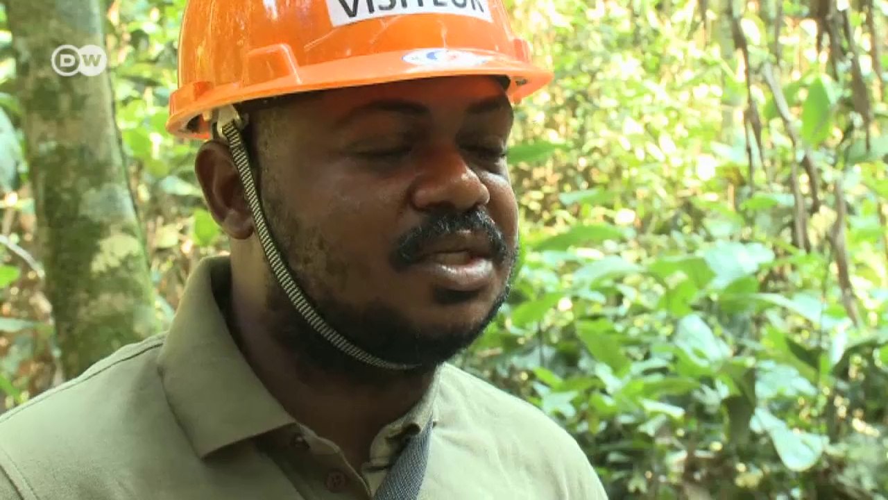 Der Affenflüsterer -  Mit Bonobos im Kongo | Global 3000