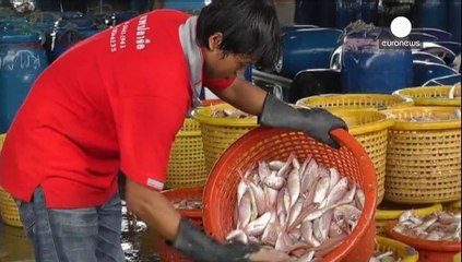 Hazırladığı rapor başını yaktı