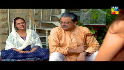 Mere Mehrban Episode 4 HUM TV Drama