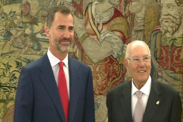 El rey recibe al presidente del Consejo de Estado