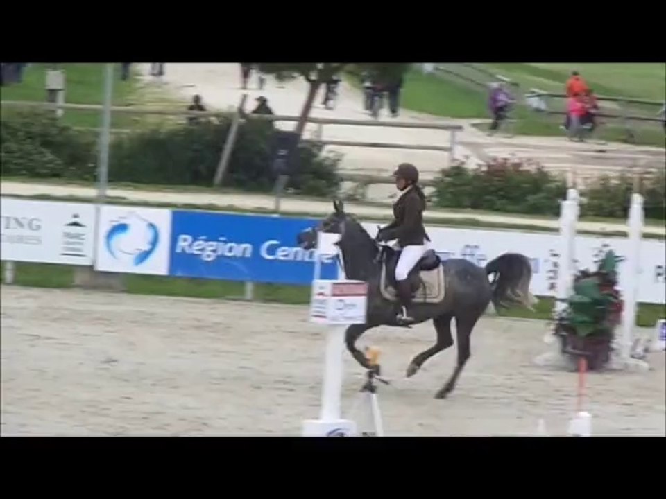 vodka wild de lahaye, CCJP 5 ans C, sologn'pony 2014 (23)