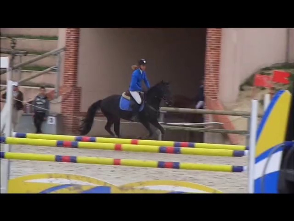 vencedor de chancieux, 5 ans D, sologn'pony 2014 (23)