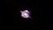 Zooming in on a gravitationally lensed galaxy merger in the distant Universe