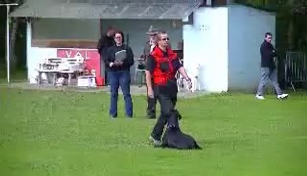 daicko du bois de liers brevet obeissance 31 08 2014