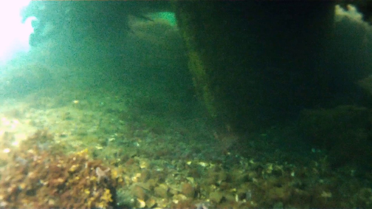 Tauchgang zum Kennenlernen in Surendorf / Ostsee