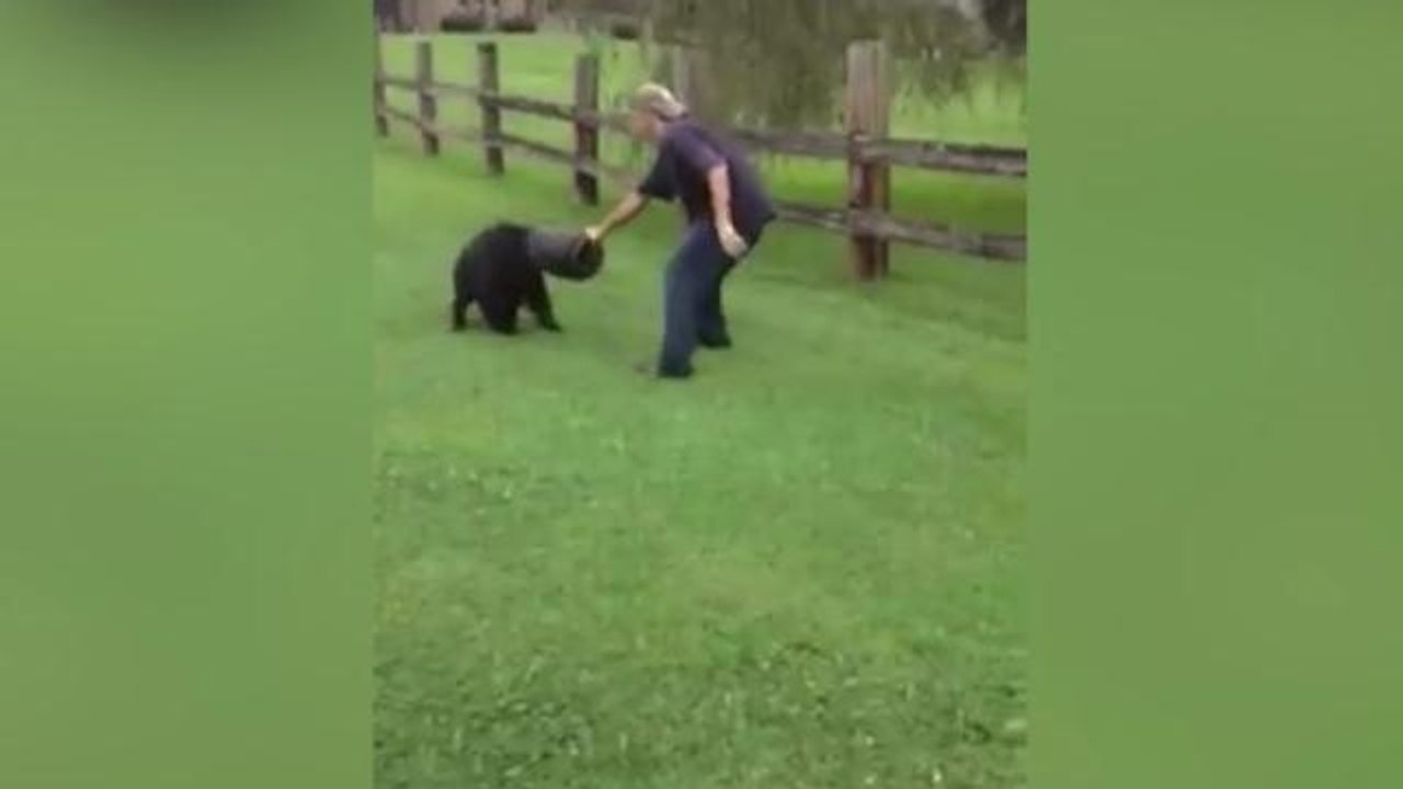 Un ours avec un seau sur la tête aidé par des citoyens