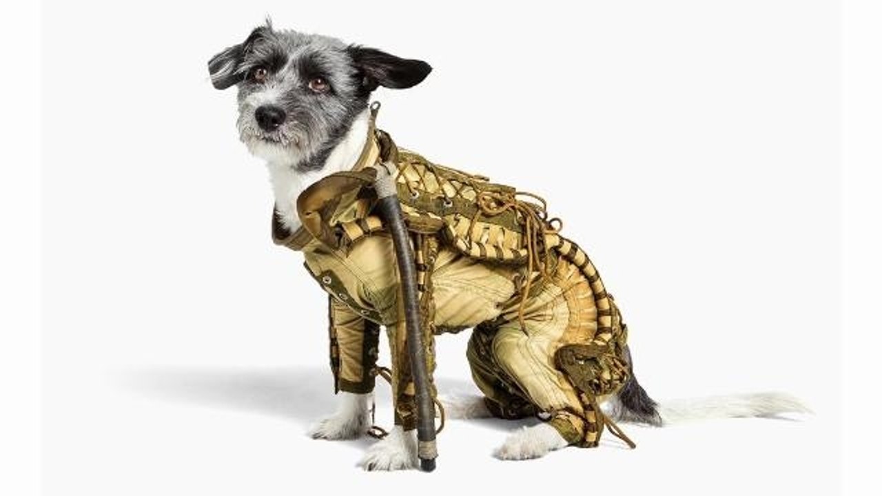Dog Spacesuit Among Obscure Soviet Space Artifacts Up For Auction