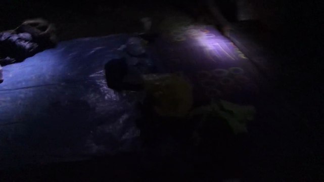 Perou- Lagunas: A la recherche des crocodiles à la Réserve Pacaya-Samiria.