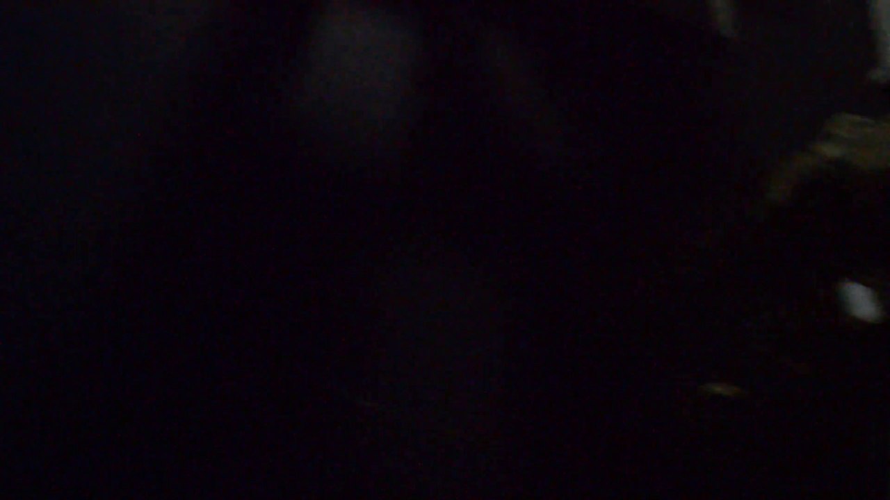 Security Guard Services | Executive Protection | Event Security Services