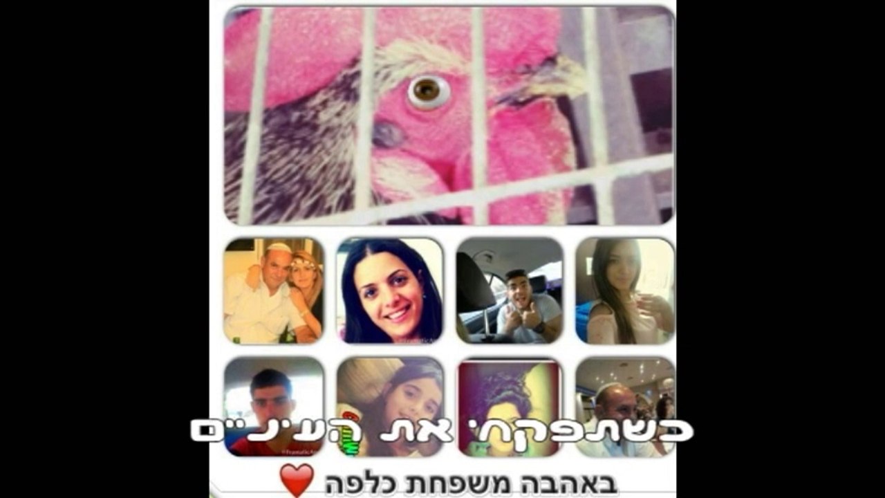 יוחאי ומעיין