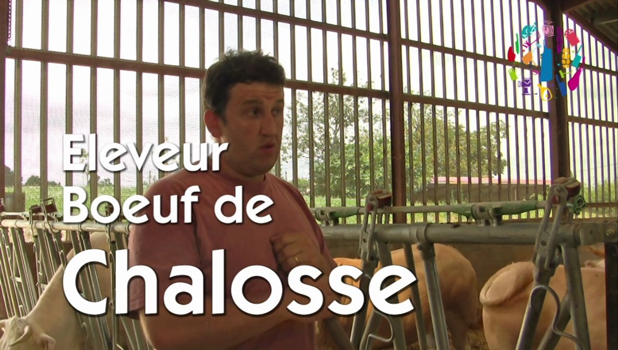 Boeuf de Chalosse épisode 1 :  Le Boeuf de chalosse, Elevage DUCLA