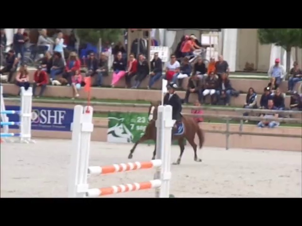 uranilse d'hurl'vent, CCJP 6 ans D, sologn'pony 2014 (24)