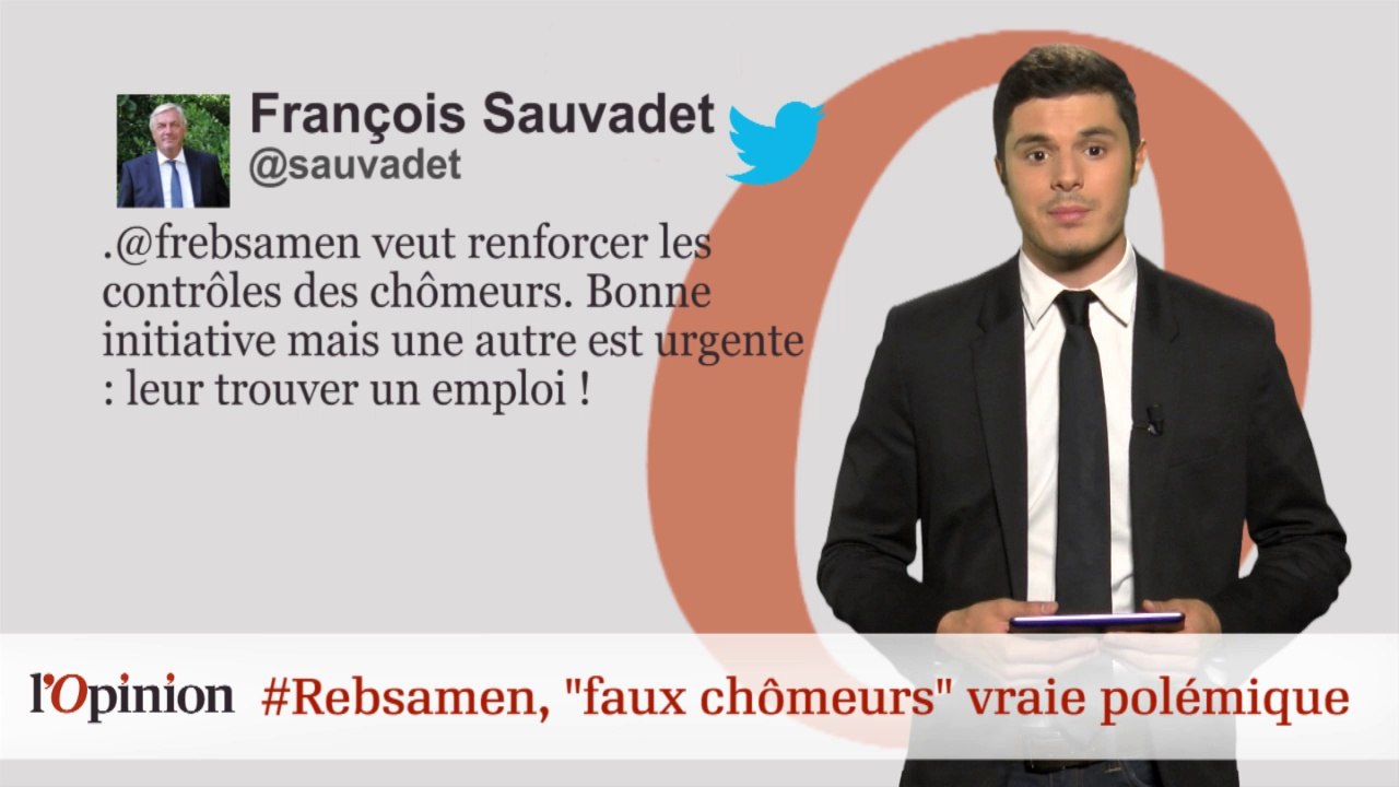 #Tweetclash -  François Rebsamen : La gauche furieuse sur Twitter