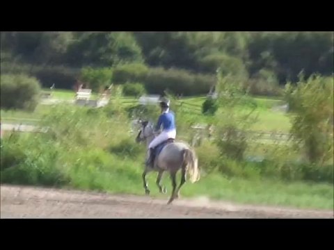 ultimate du bois, AS poney 2D derby, sologn'pony 2014 (24)