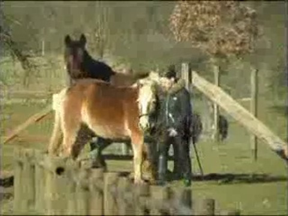 Présentation de la Ferme pédagogique : La Grange aux Moines