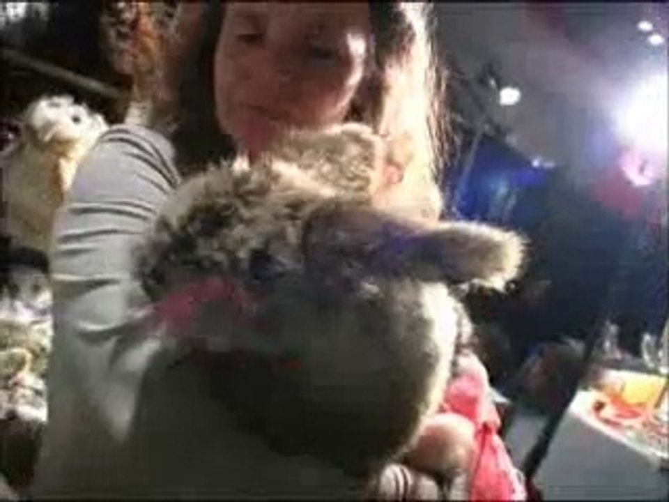 Présentation des marchés de Noël en Val d'Essonne