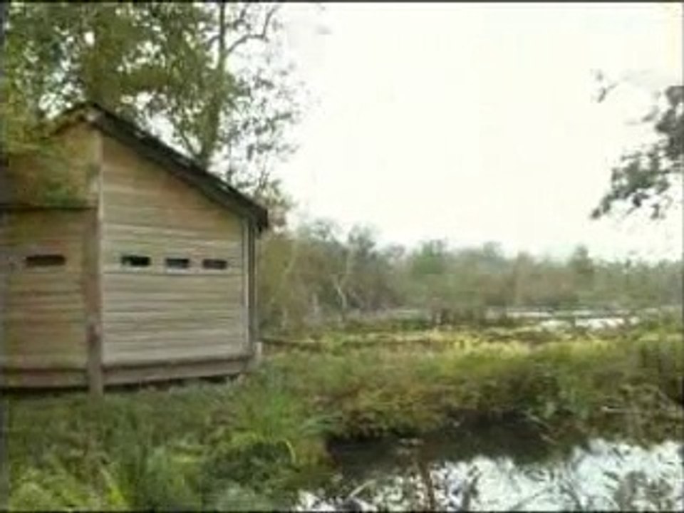 Présentation des observatoires naturels en Val d'Essonne