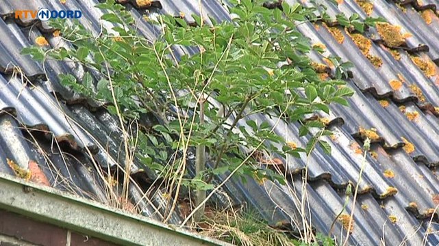 Broers bouwen gemaalhuisjes om tot recreatiewoningen - RTV Noord