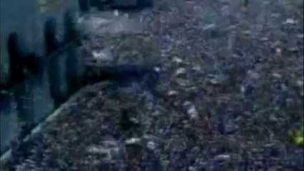 Homenaje a Raúl Alfonsín