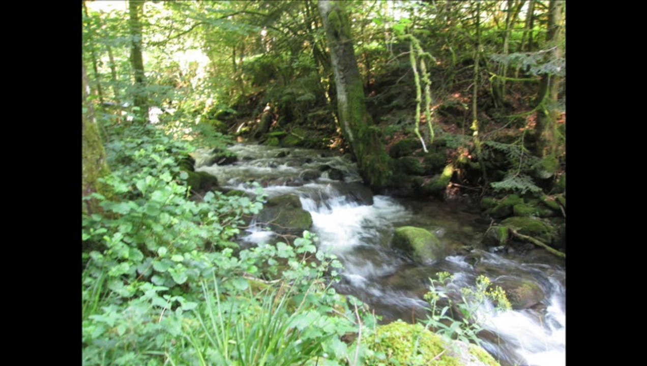 Mittlach