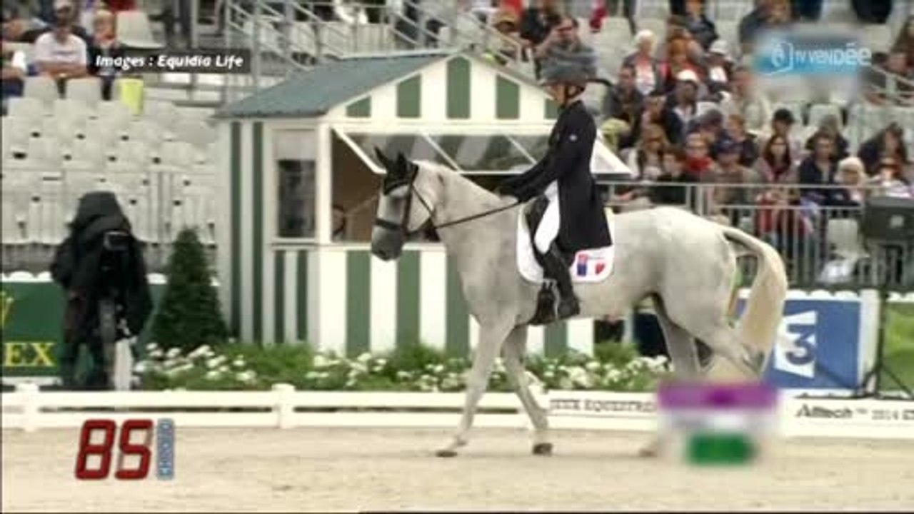 Jeux Equestres Mondiaux 2014 : Rodolphe Scherer