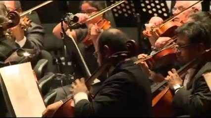 Renuncia Director de la OSUG por recursos culturales insuficientes.