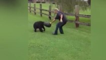 Bear With a Bucket on Its Head Rescued by Locals