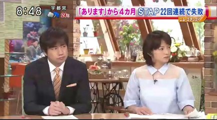 14 08 28 EX MB　STAP細胞　中間報告