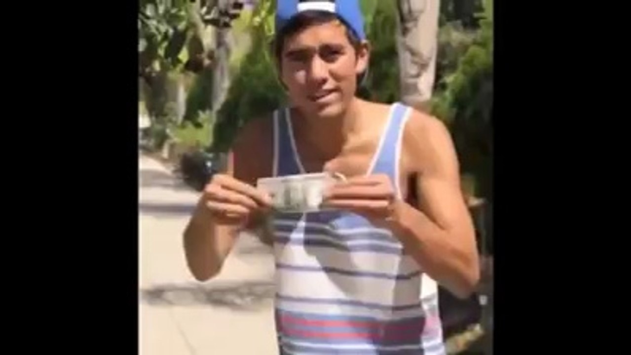 Vines Paradise - ★Vines Compilation ★ (Mágico do Vine) - Facebook