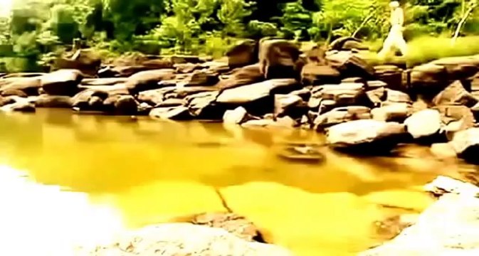 Amazing Discoveries of Unknown Species Animal Full Documentary HD