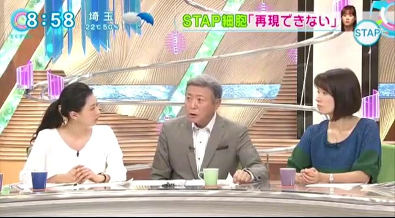 14 08 28 CX TD　STAP細胞　検証実験　２２回　中間報告