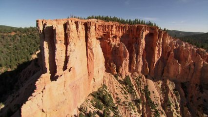 Running Wild With Bear Grylls - Tamron Hall Clip 1 HD