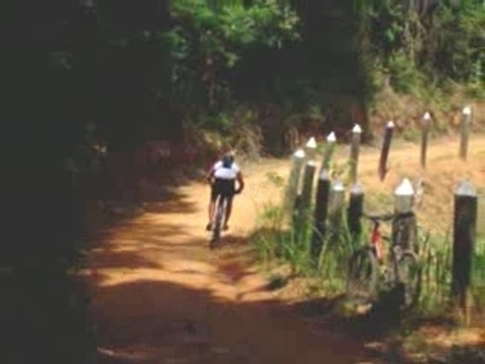 Velozes