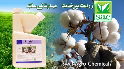 Pirate - TV Commercial (Swat Agro Chemicals)