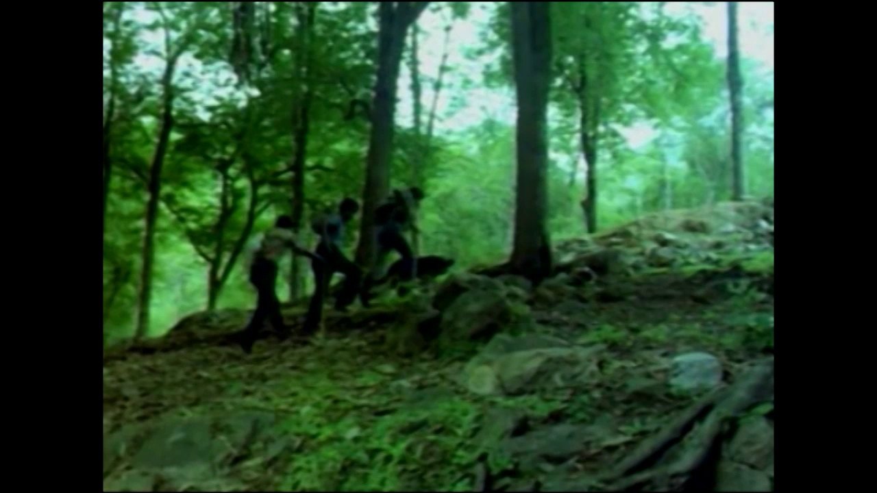 JUNGLE KI CHANDANI | FULL HINDI MOVIE | PART 1 OF 8 | HOT HINDI MOVIES | POPULAR HOT FILMS