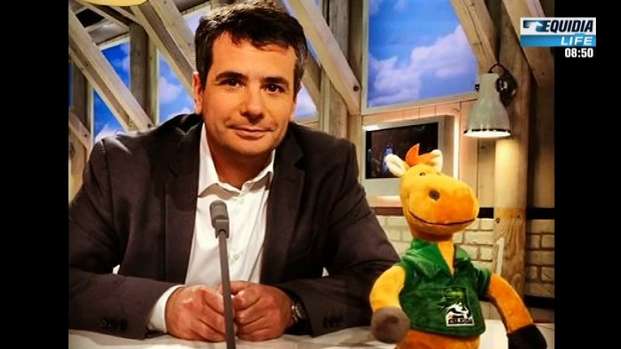 La mascotte Mini-Norman a été retrouvée !