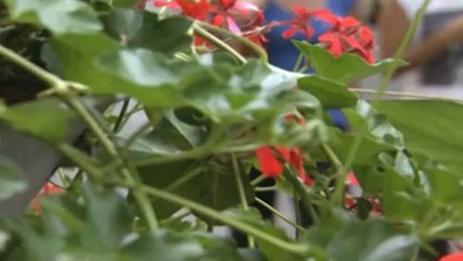 APRE IL NUOVO CENTRO MALTRATTANTI